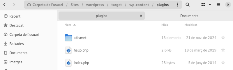 Fitxer:08wpCarpetaExtensions.png