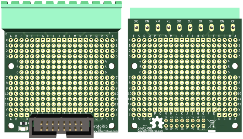 Fitxer:ProtoRib v1.0.png