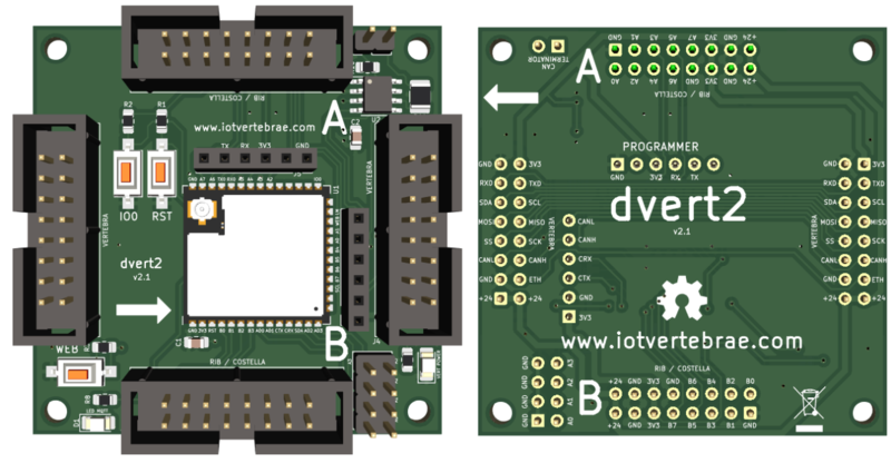 Fitxer:Dvert v2.1 01.png